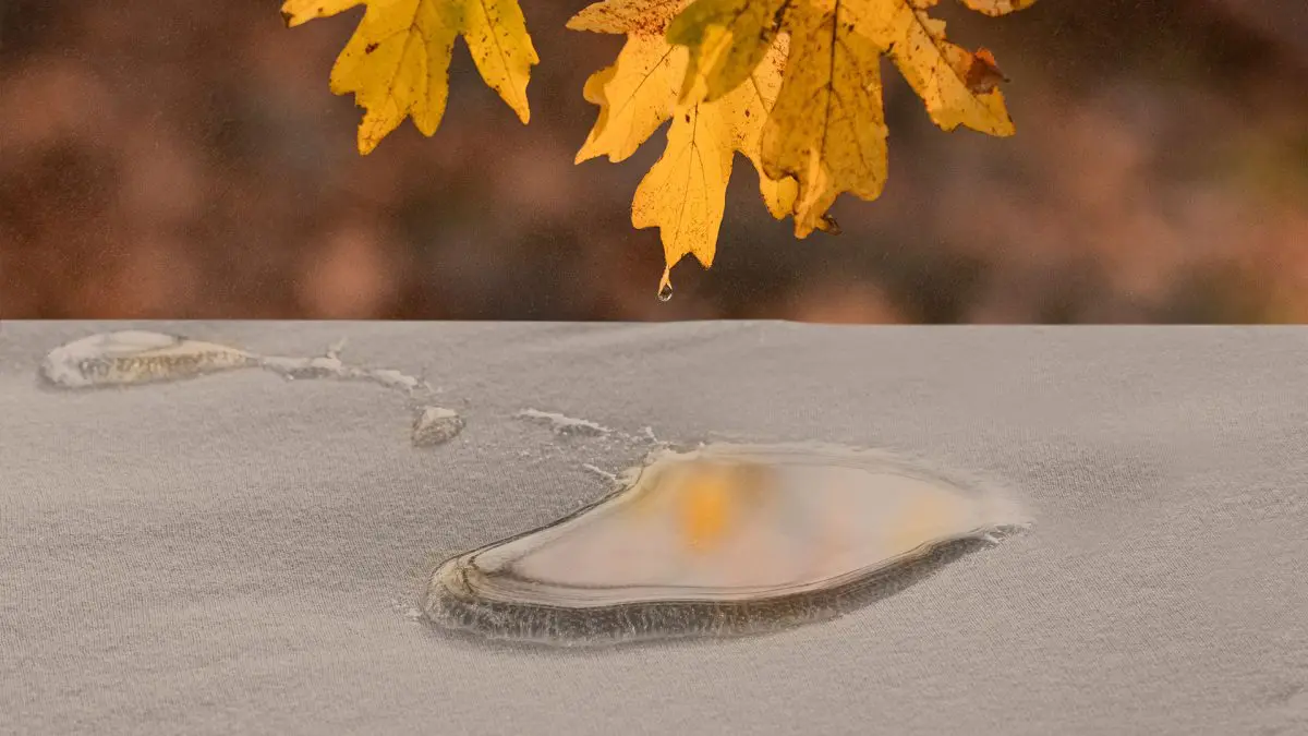 PROTECTOR DE COLCHÓN B-SENSIBLE BEIGE - Imagen 3