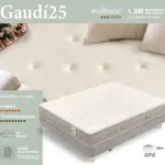 gaudi25 1