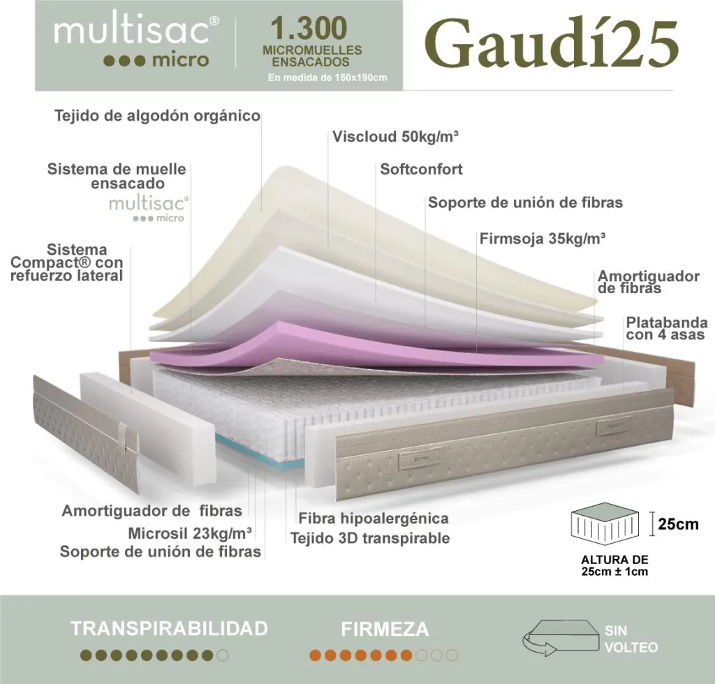 gaudi25 corte